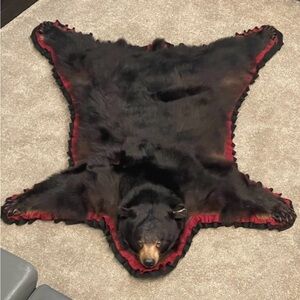 REAL Genuine Authentic Black Bear Skin Rug w/hooks for wall hanging